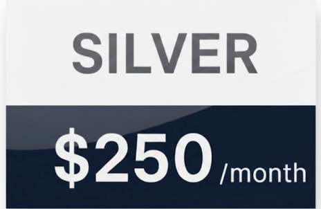 SILVER ā $250/month